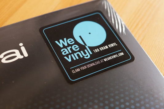 Jamiroquai – Travelling Without Moving (2LP)