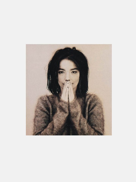 Björk – Debut