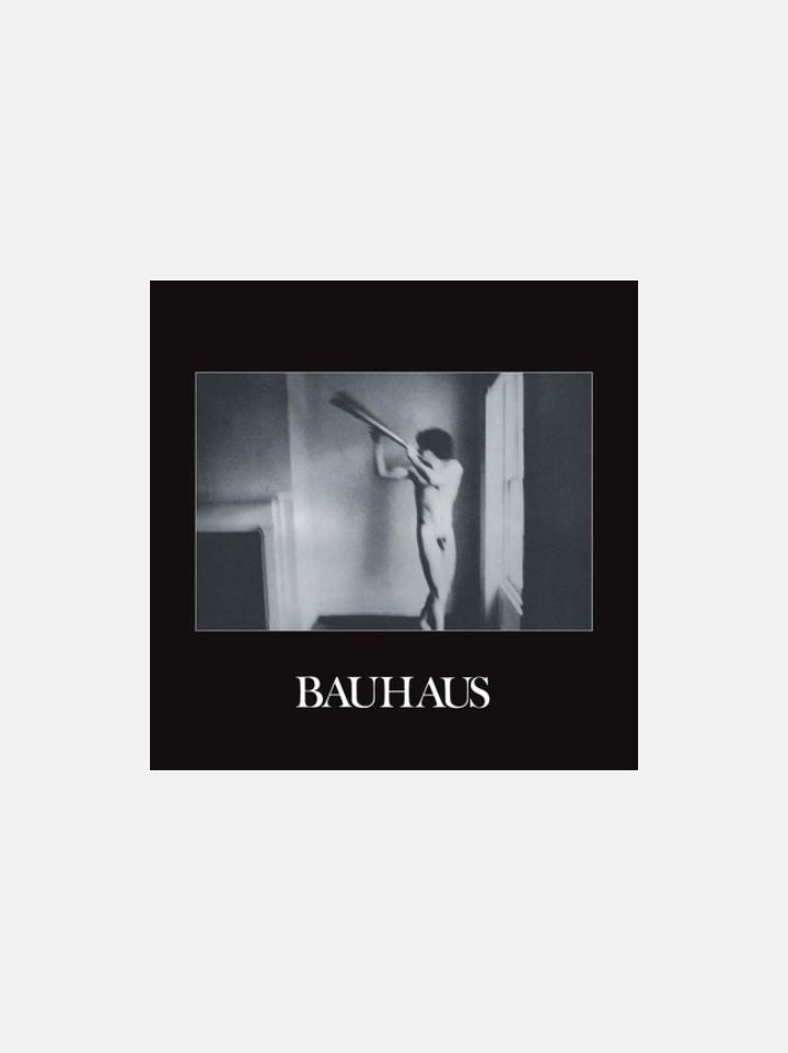 Bauhaus - In The Flat Field