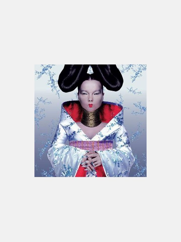 Björk - Homogenic