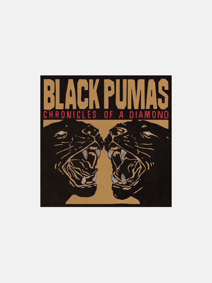 Black Pumas – Chronicles Of A Diamond (Clear Vinyl)