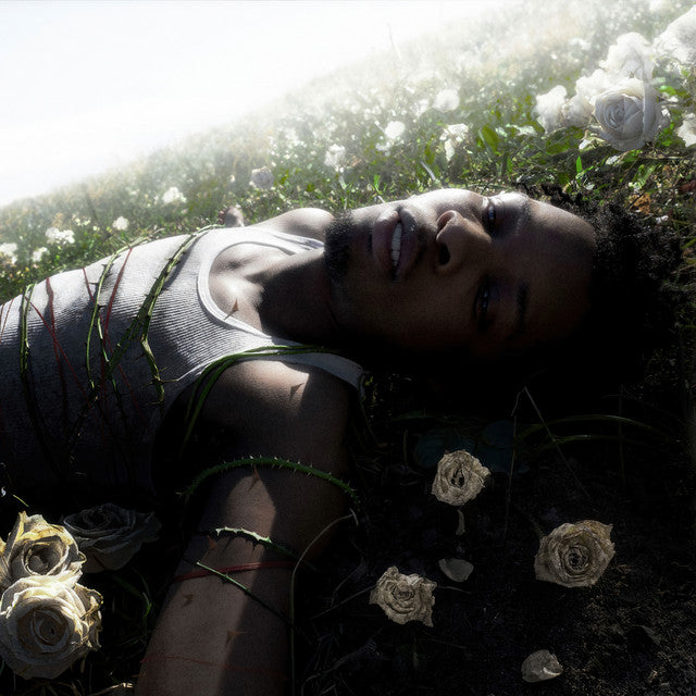 d4vd – Withered (Color)
